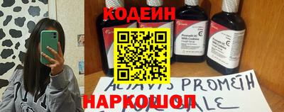 гидропоника Сланцы