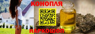 гидропоника Сланцы