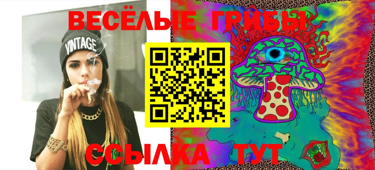 Псилоцибиновые грибы мухоморы  Вход с VPN  Мурино 